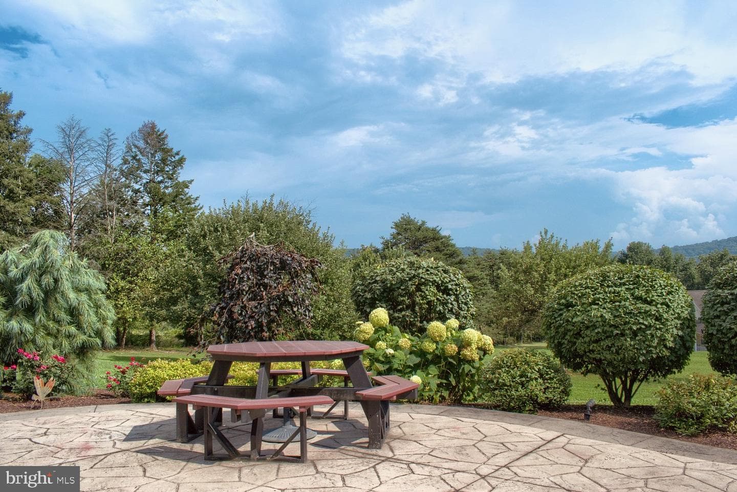 45 5th Avenue photo 3