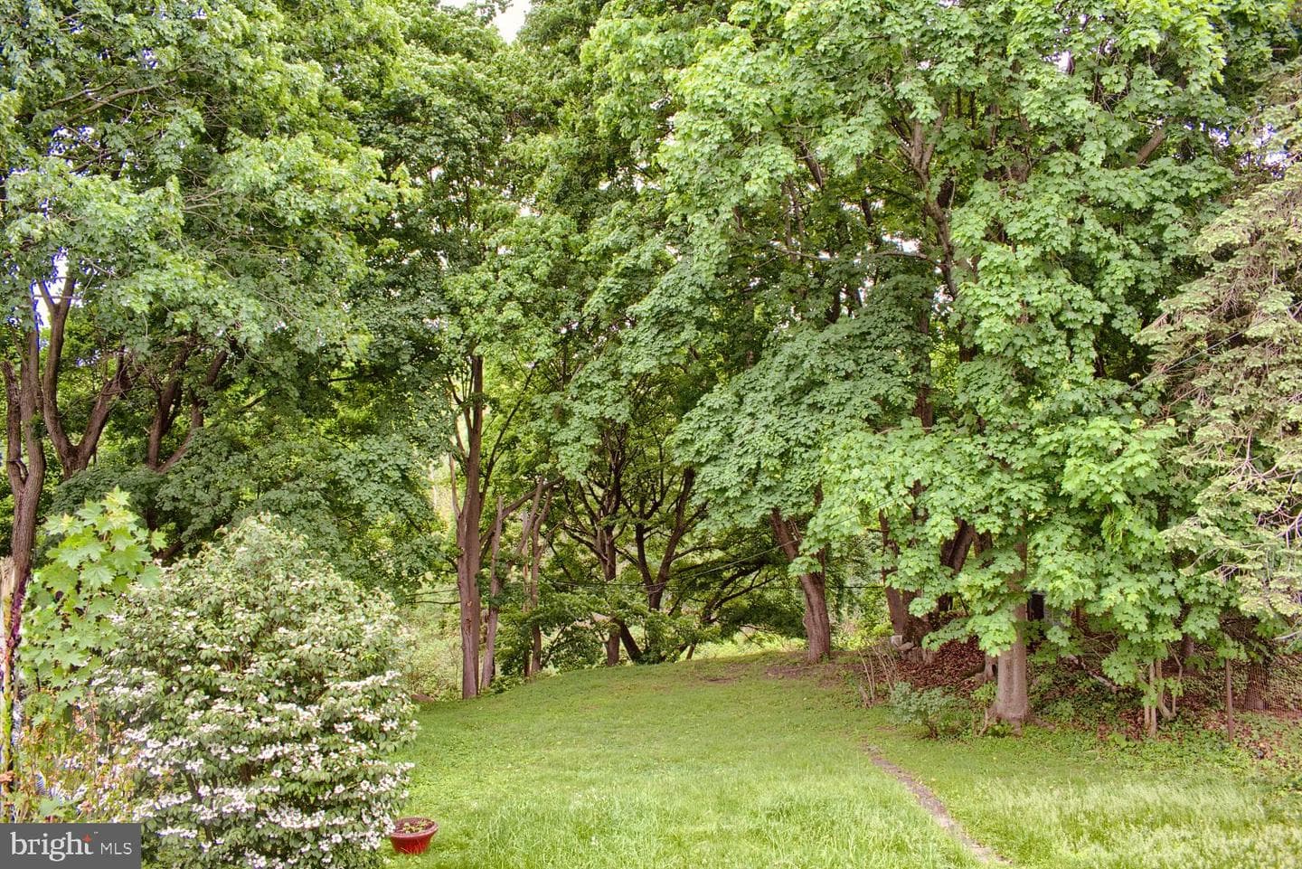 409 West Avenue photo 11