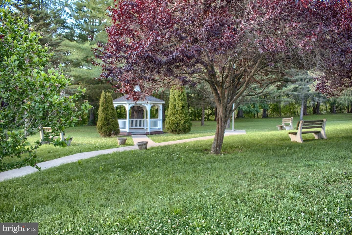 27 Sheridan Street N photo 18