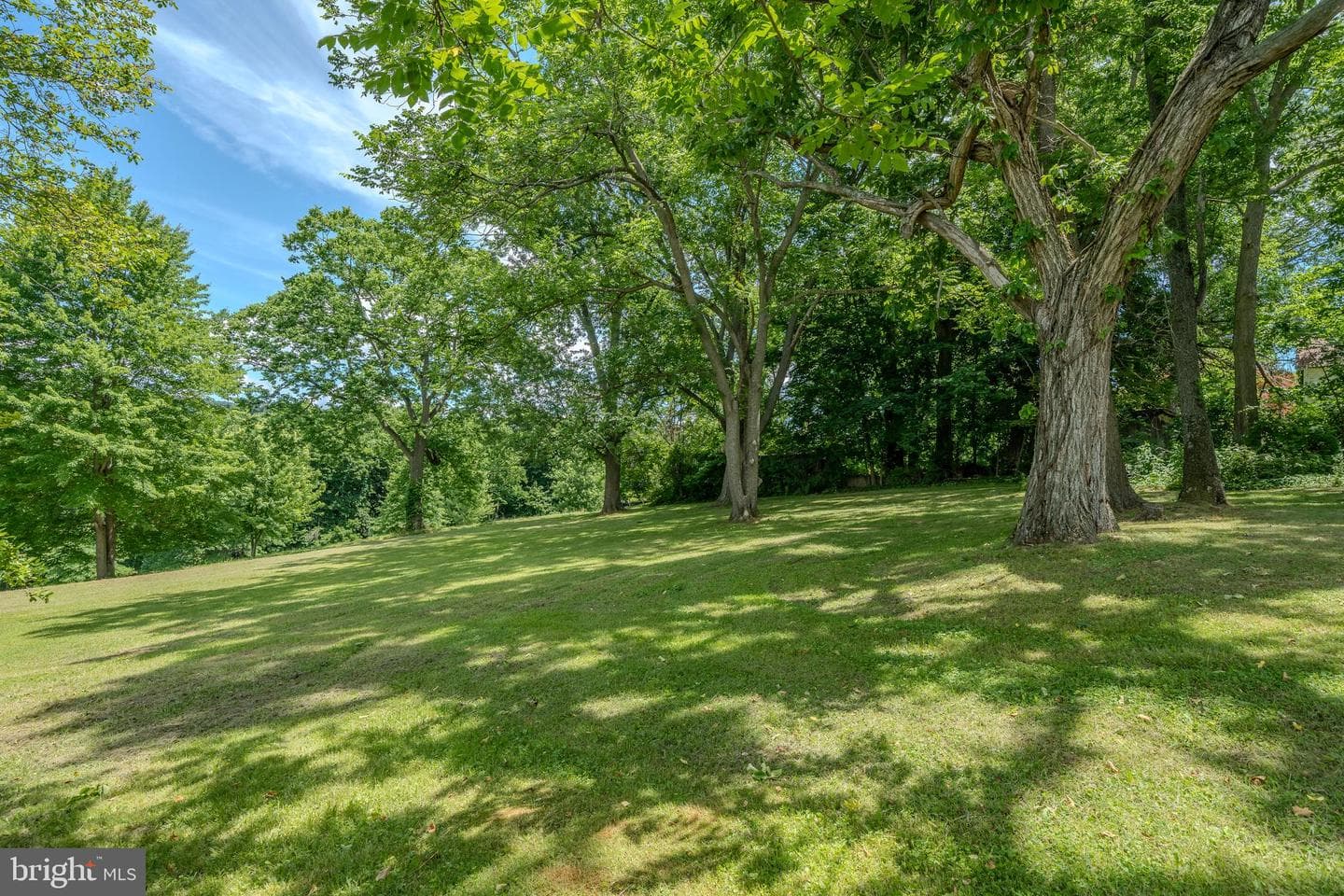 205 Sunbury Street photo 7