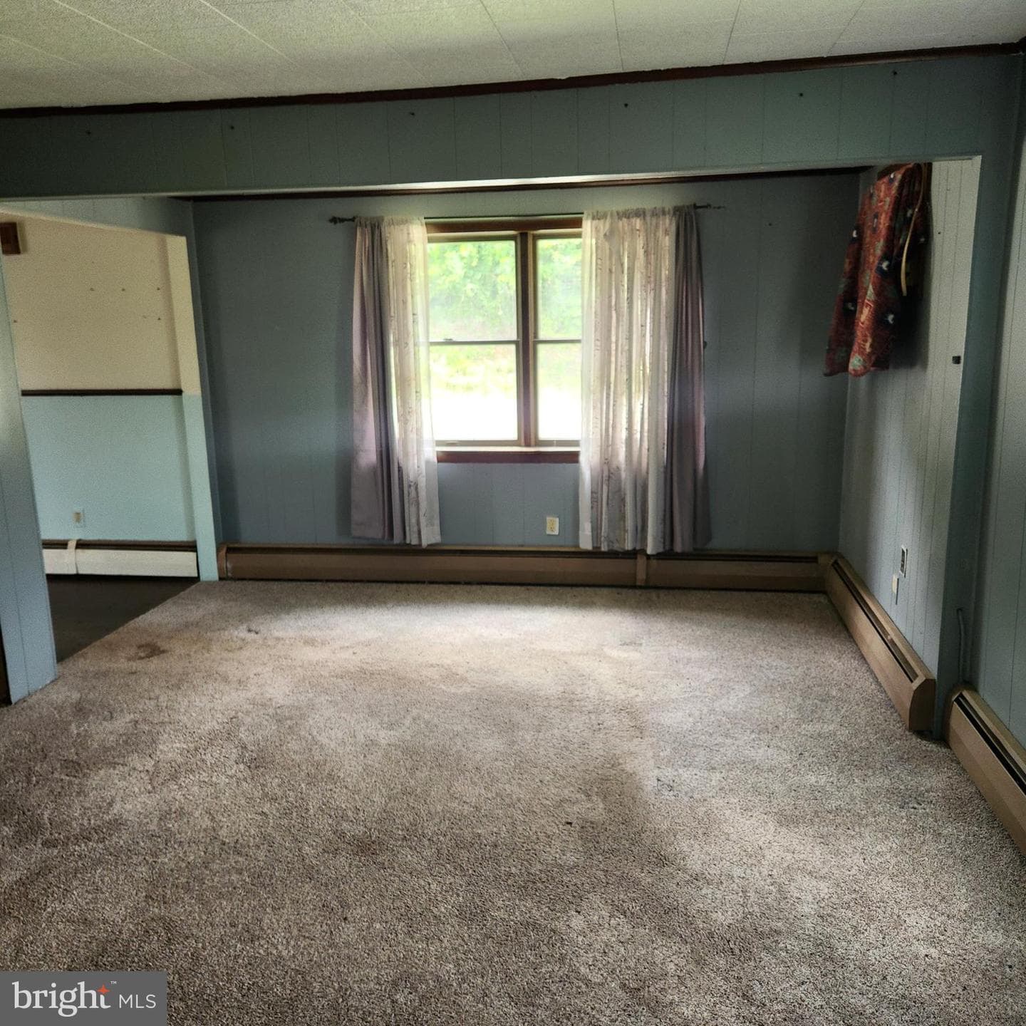 303 Swamp Poodle Lane photo 29