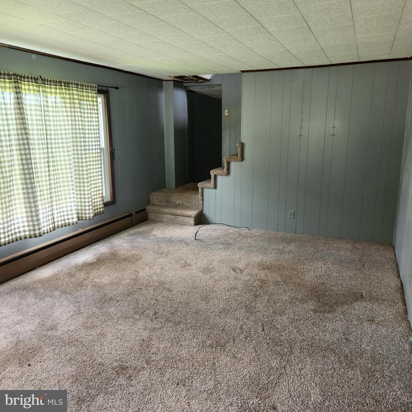 303 Swamp Poodle Lane photo 31
