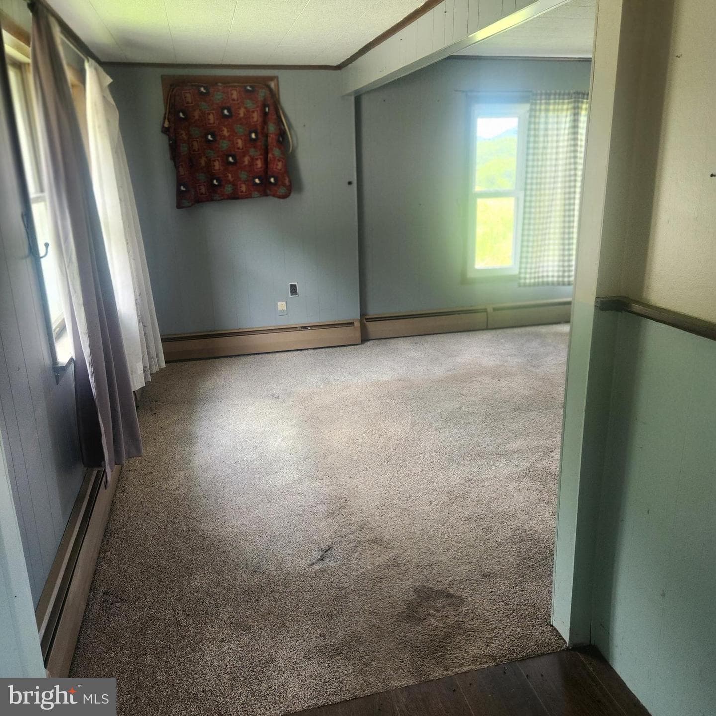 303 Swamp Poodle Lane photo 37