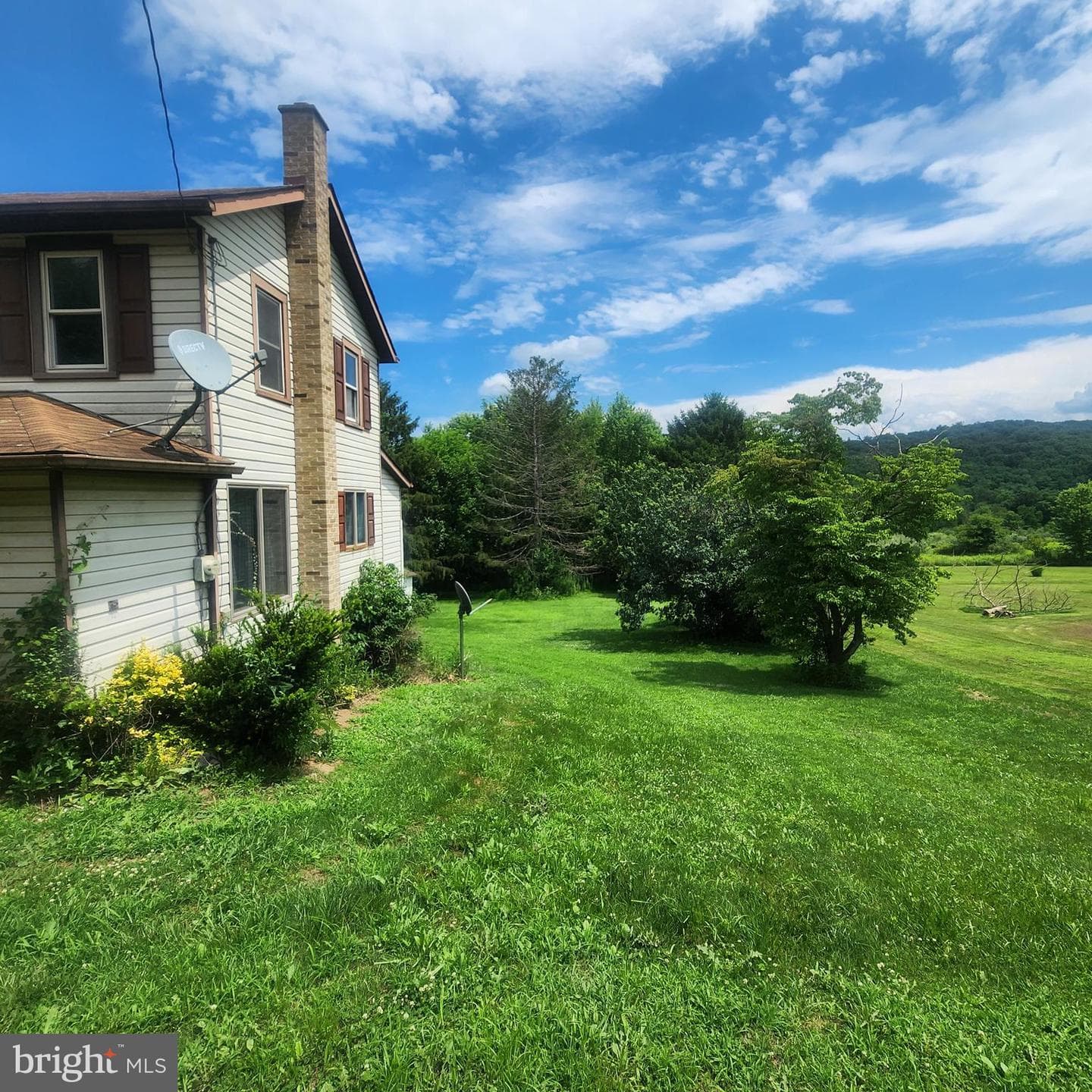 303 Swamp Poodle Lane photo 39