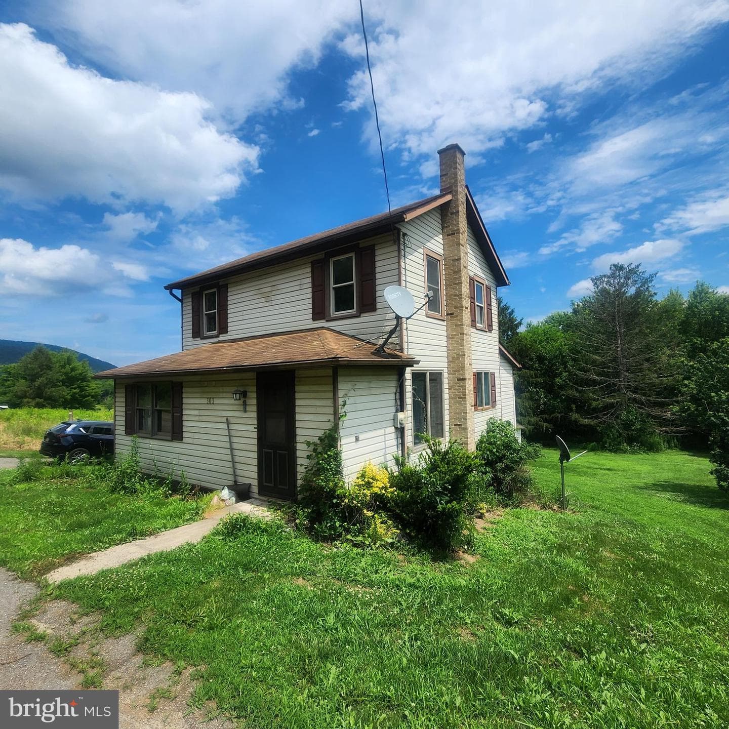 303 Swamp Poodle Lane photo 40