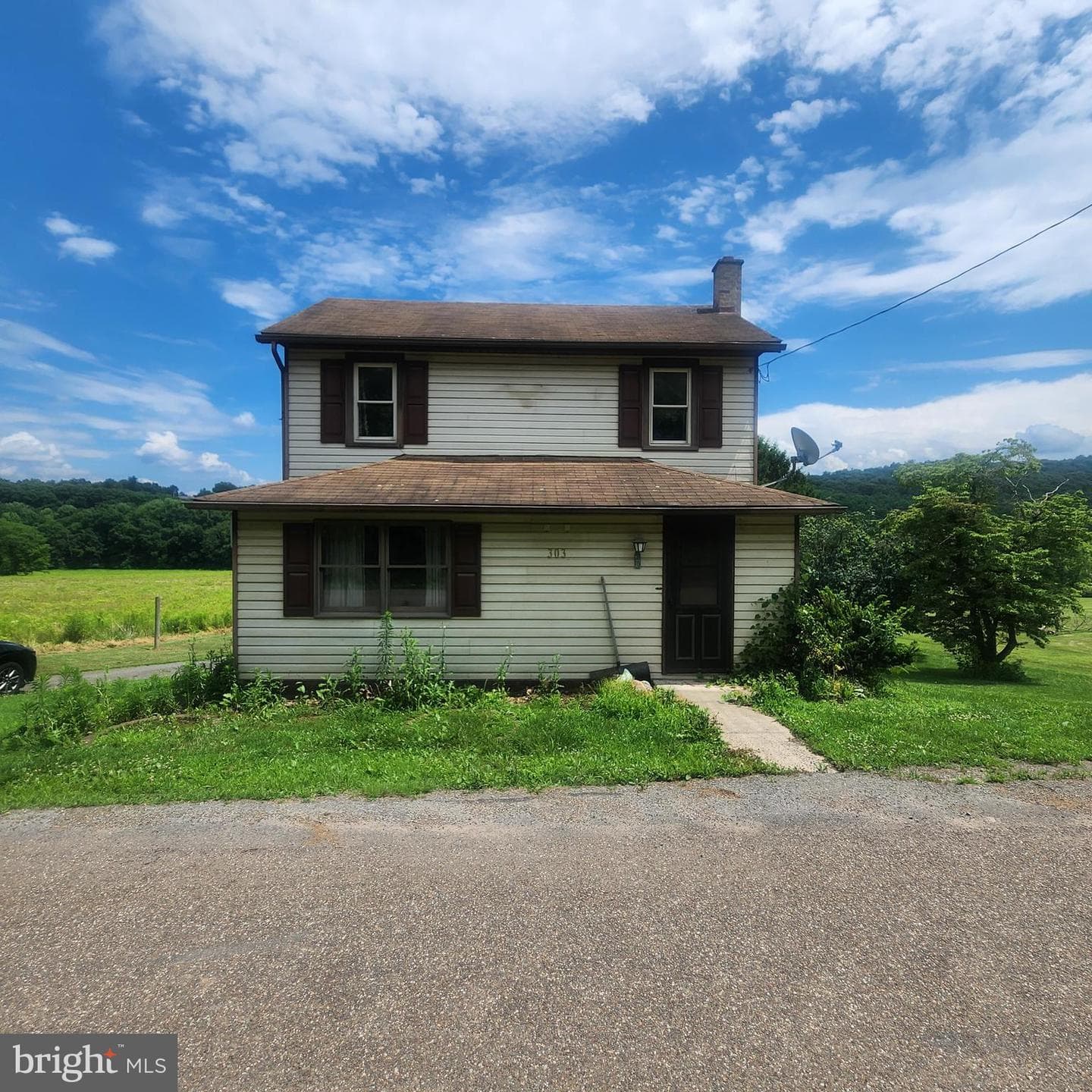 303 Swamp Poodle Lane photo 41