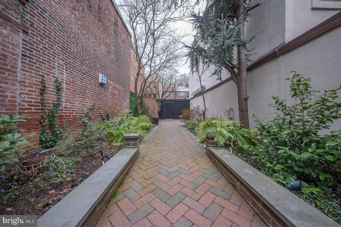 630 Pine Street photo 65