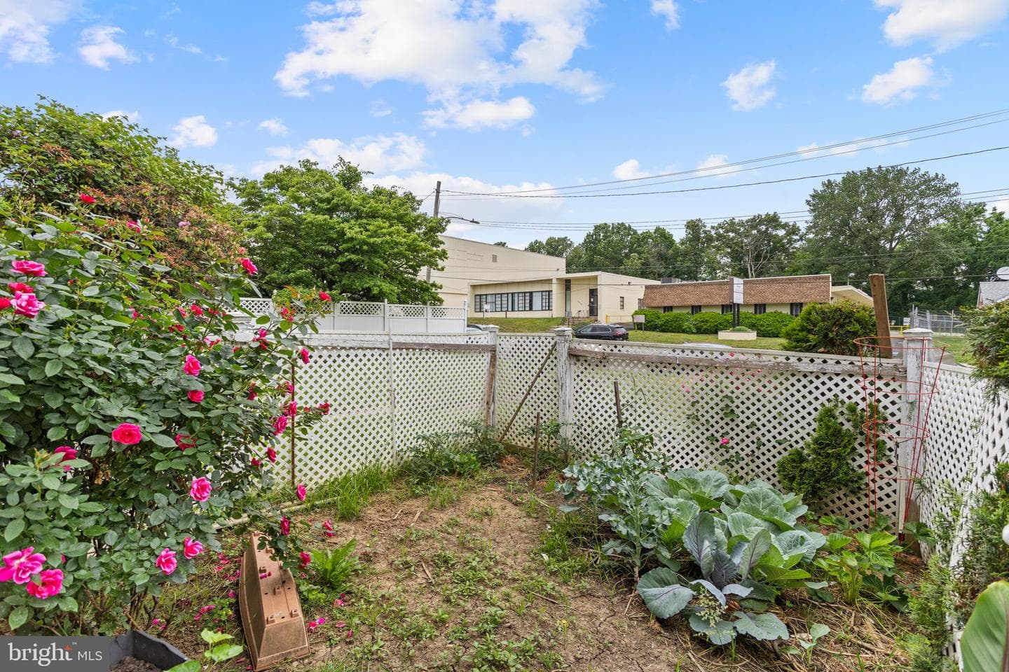 2724 W Cheltenham Avenue photo 3