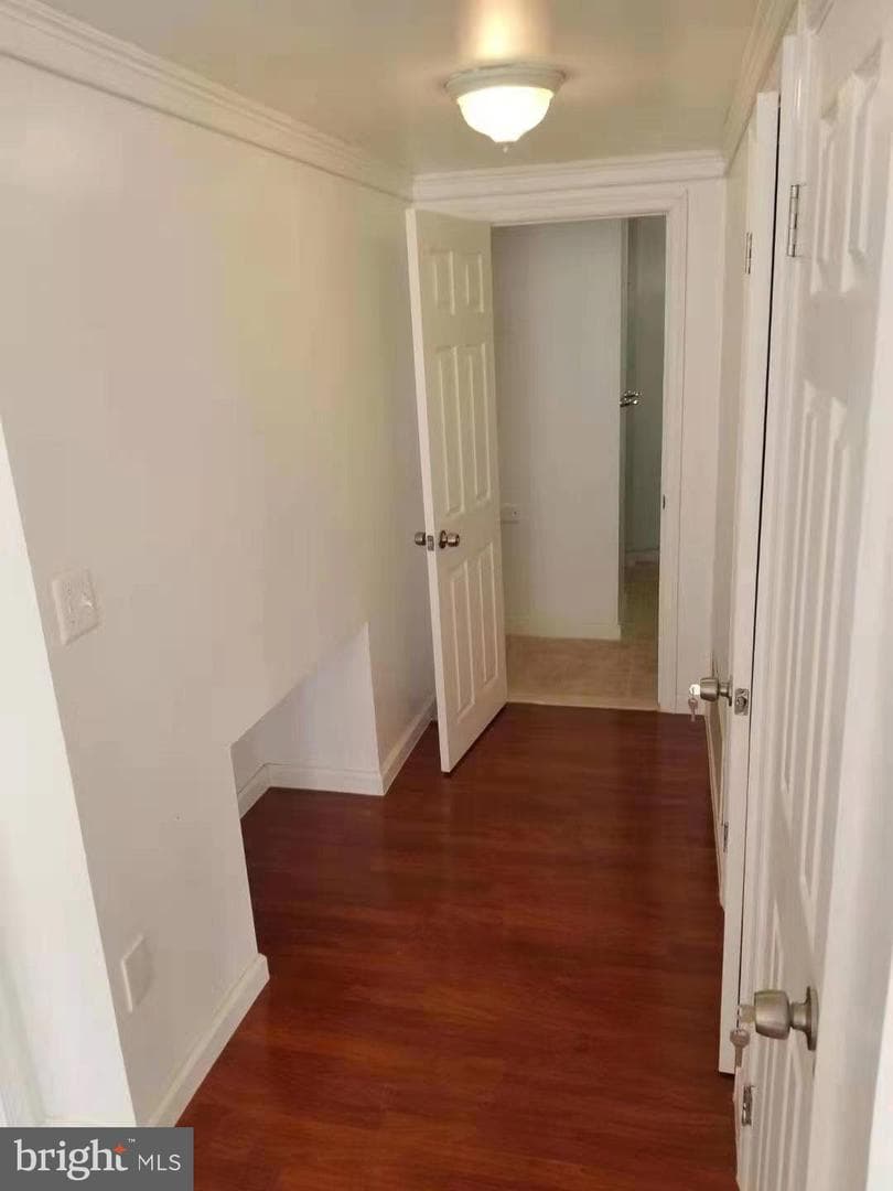 1001 Chestnut Street #403e photo 22