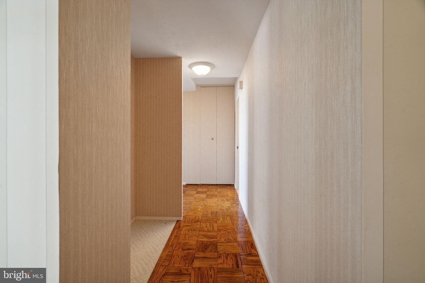 200 Locust Street #29an photo 9