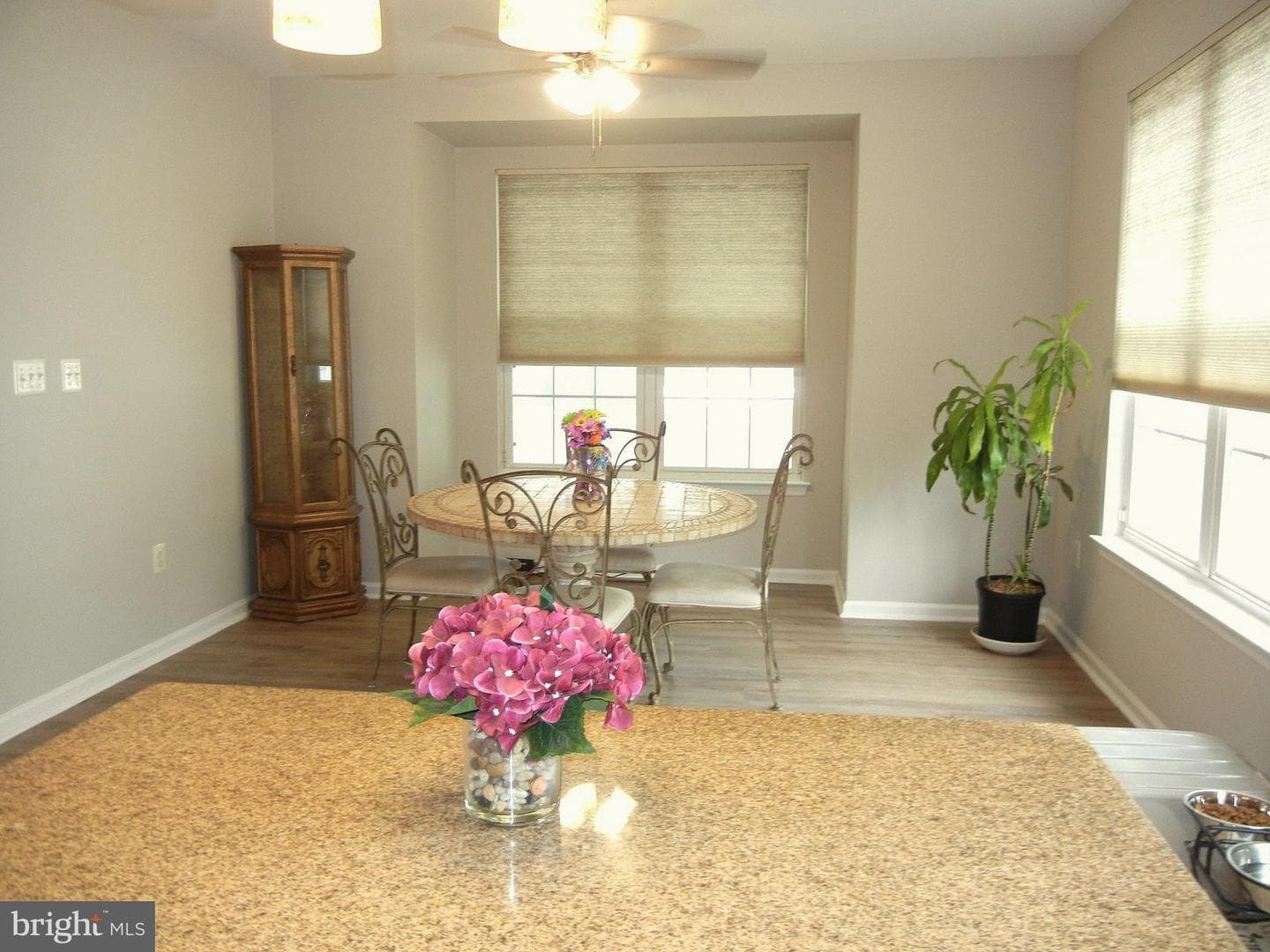 2109 Trevi Court photo 17