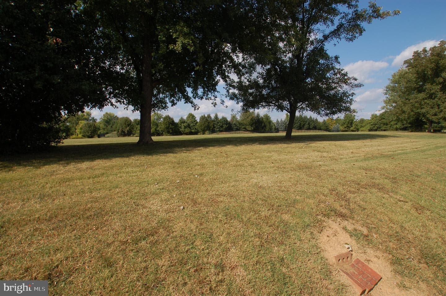 12424 Wyndom Road photo 2