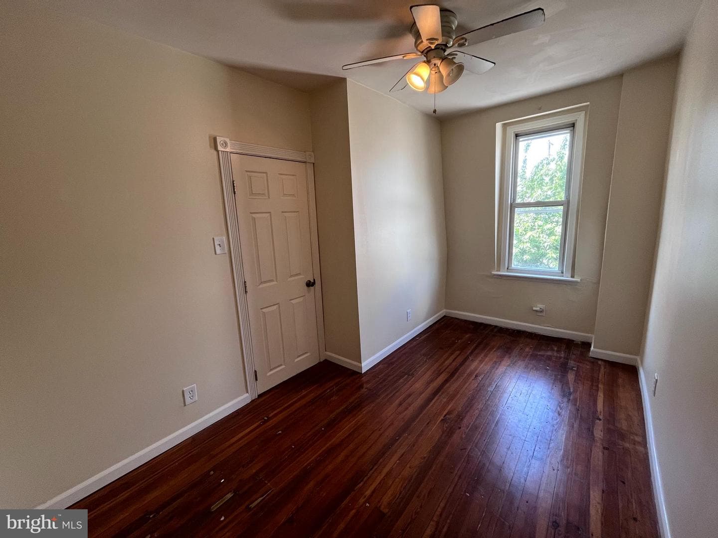 147 Tree Street photo 11