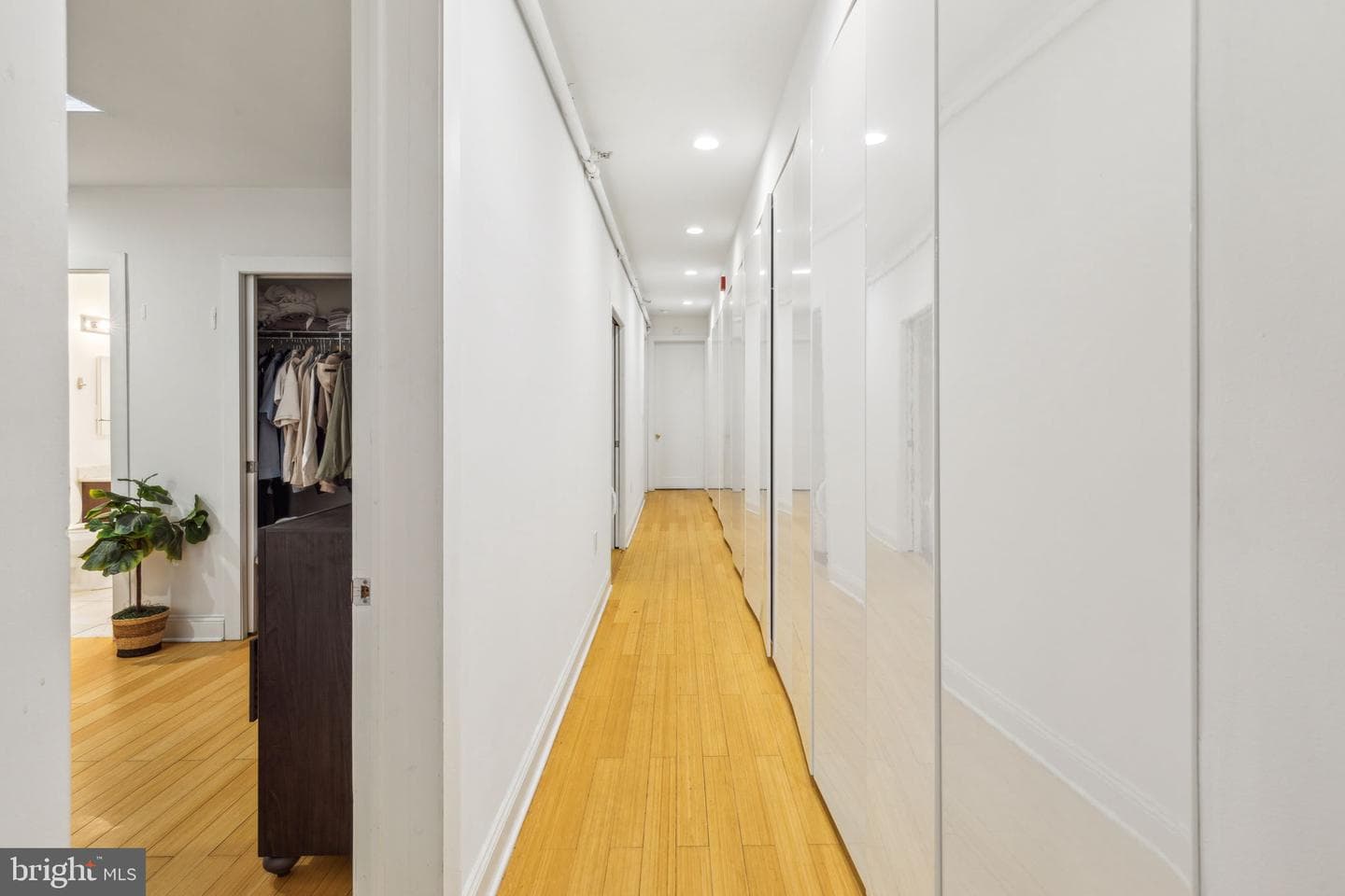 1606 Chestnut Street #3 photo 6