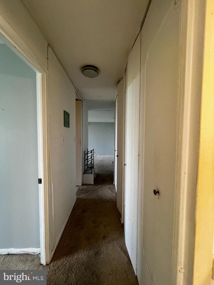 3600 Conshohocken Avenue #1515 photo 23