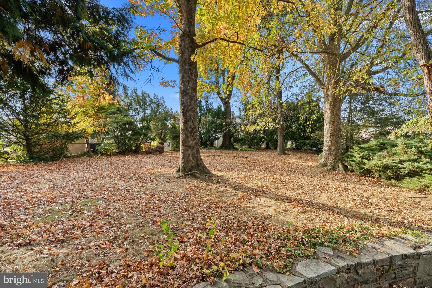 10970 Ellicott Road photo 36