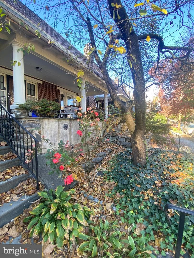6132 McCallum Street photo 4