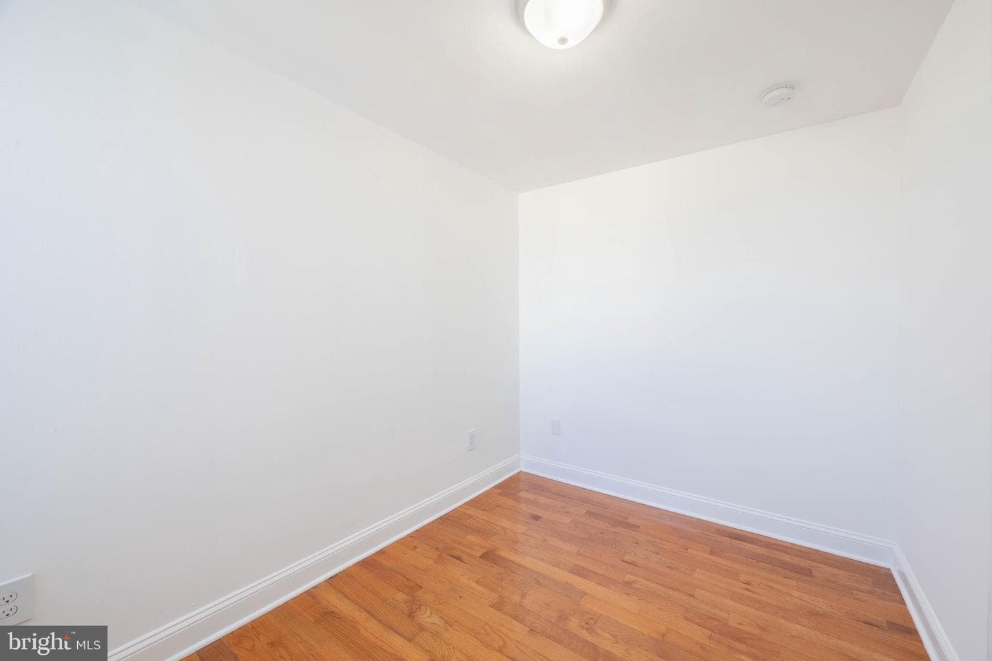 1737 Mifflin Street photo 8