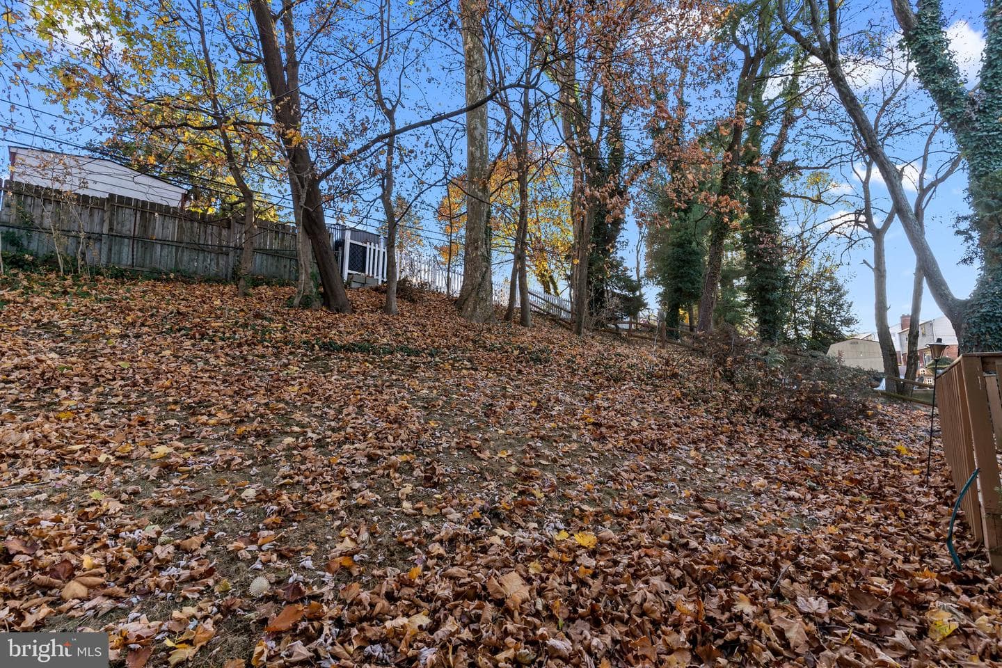 910 E Cathedral Road photo 27