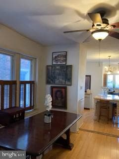 4608 Greene Street photo 16