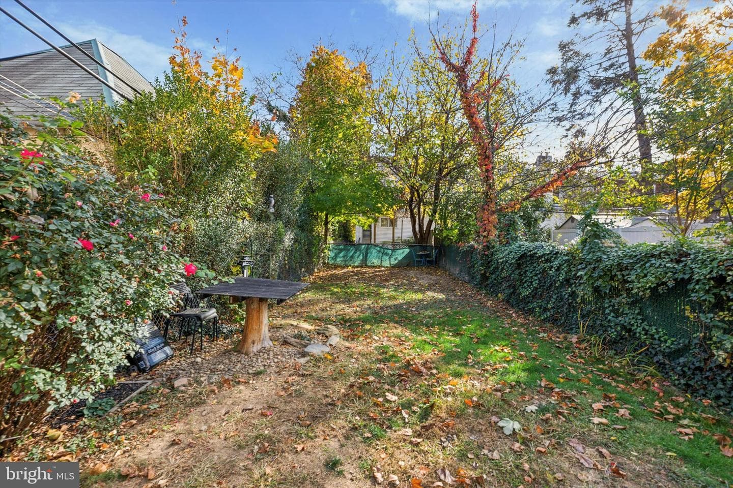 471 Martin Street photo 14