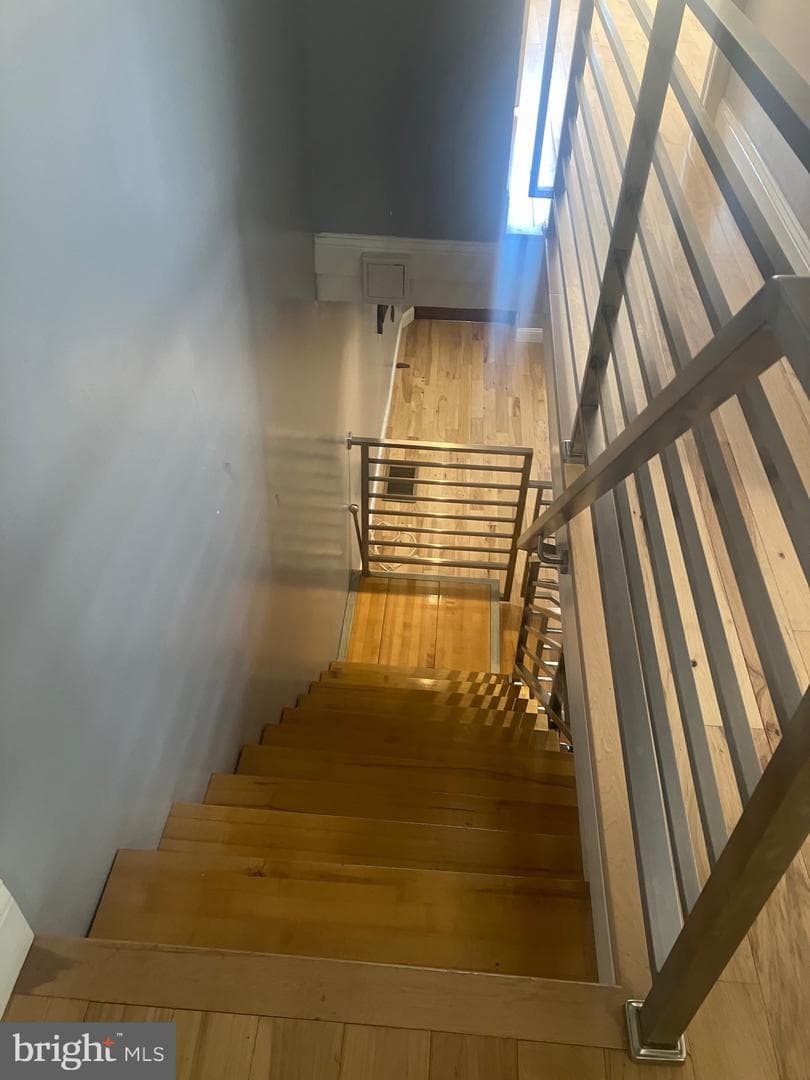 429 Winton Street photo 12