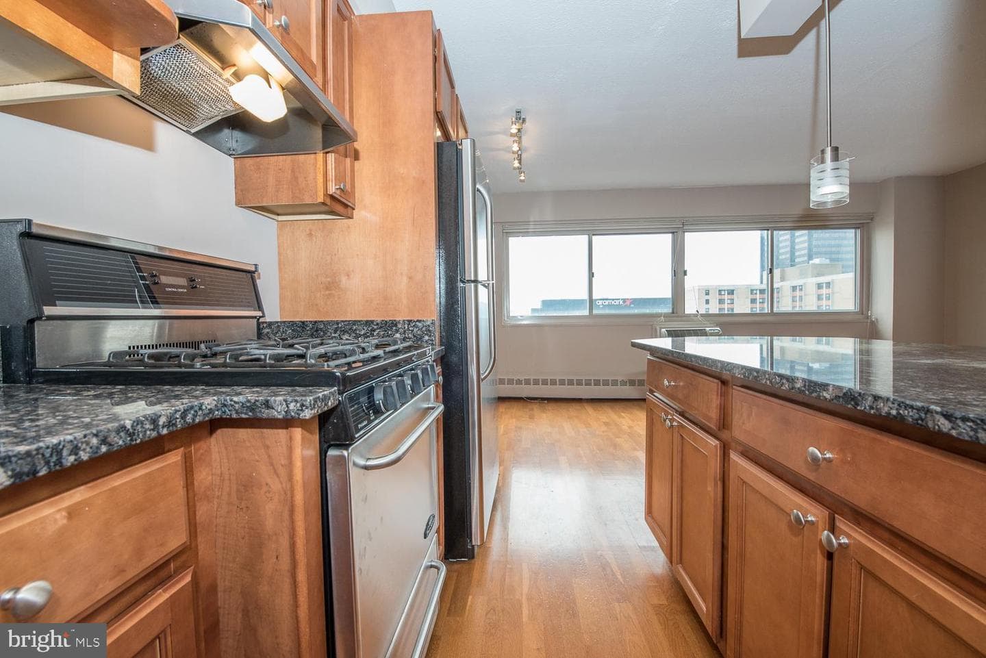 2101 Chestnut Street #1516 photo 12