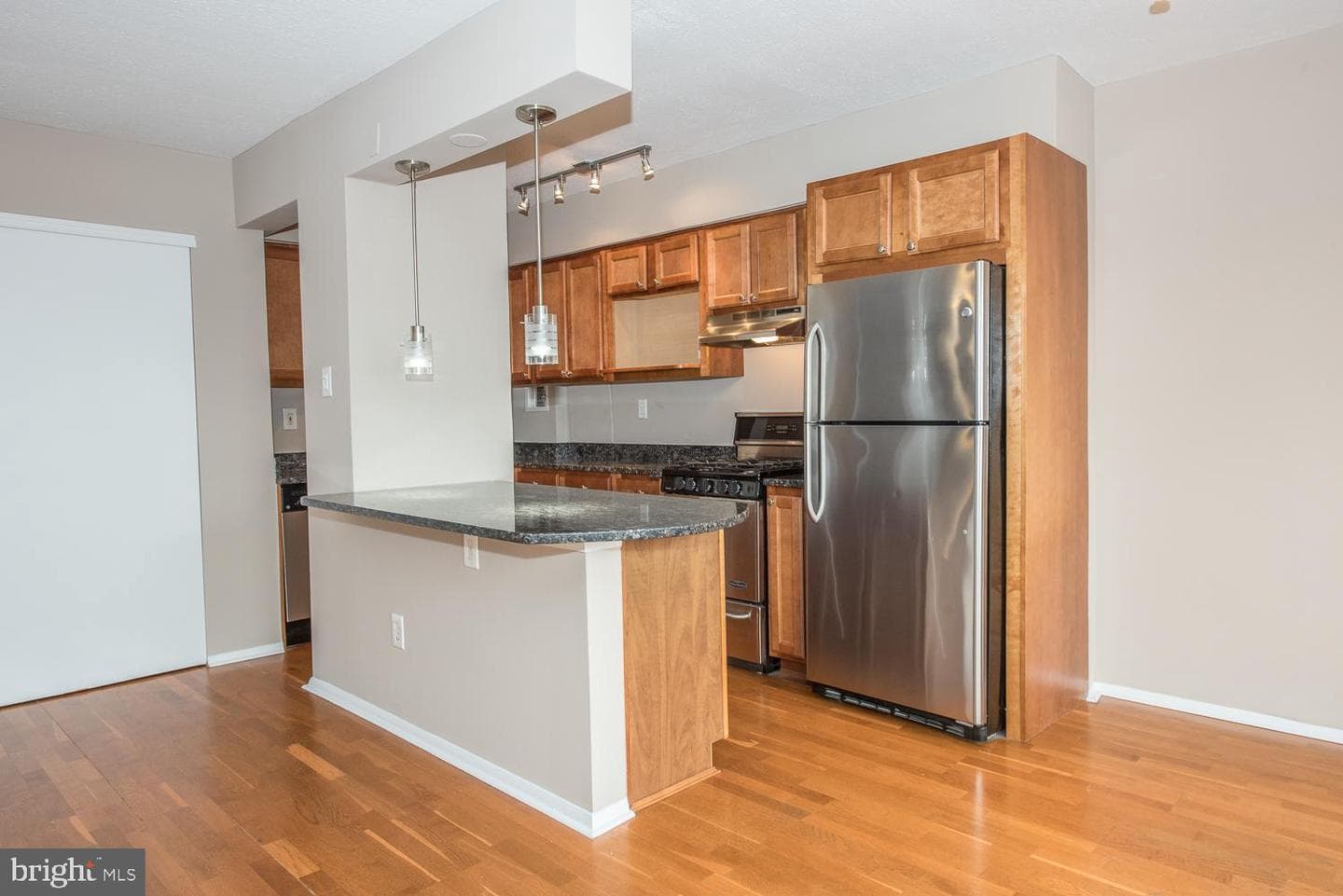 2101 Chestnut Street #1516 photo 5