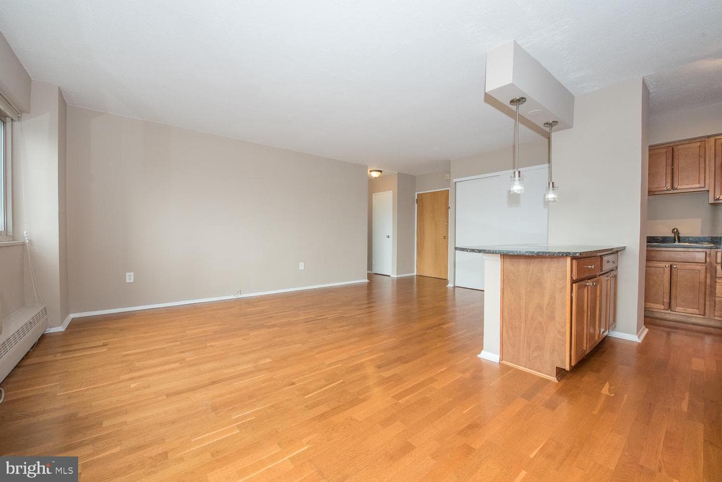 2101 Chestnut Street #1516 photo 6