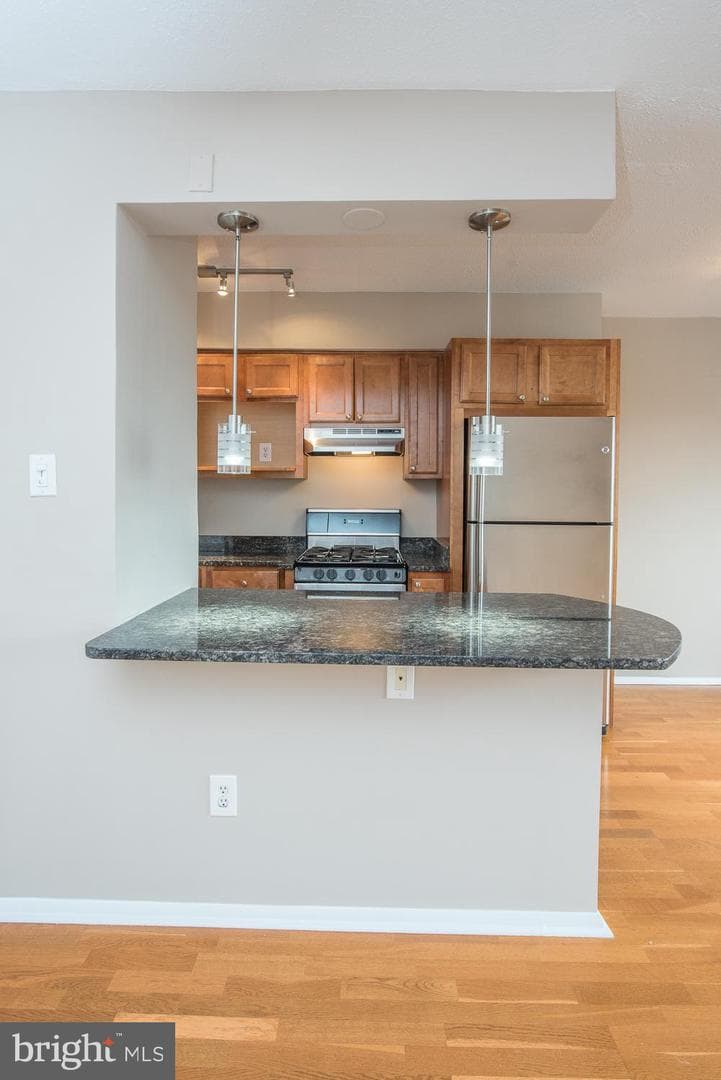 2101 Chestnut Street #1516 photo 8