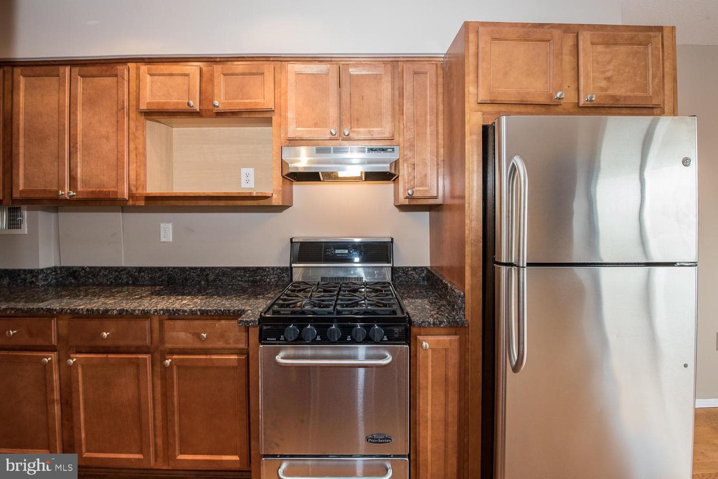 2101 Chestnut Street #1516 photo 9