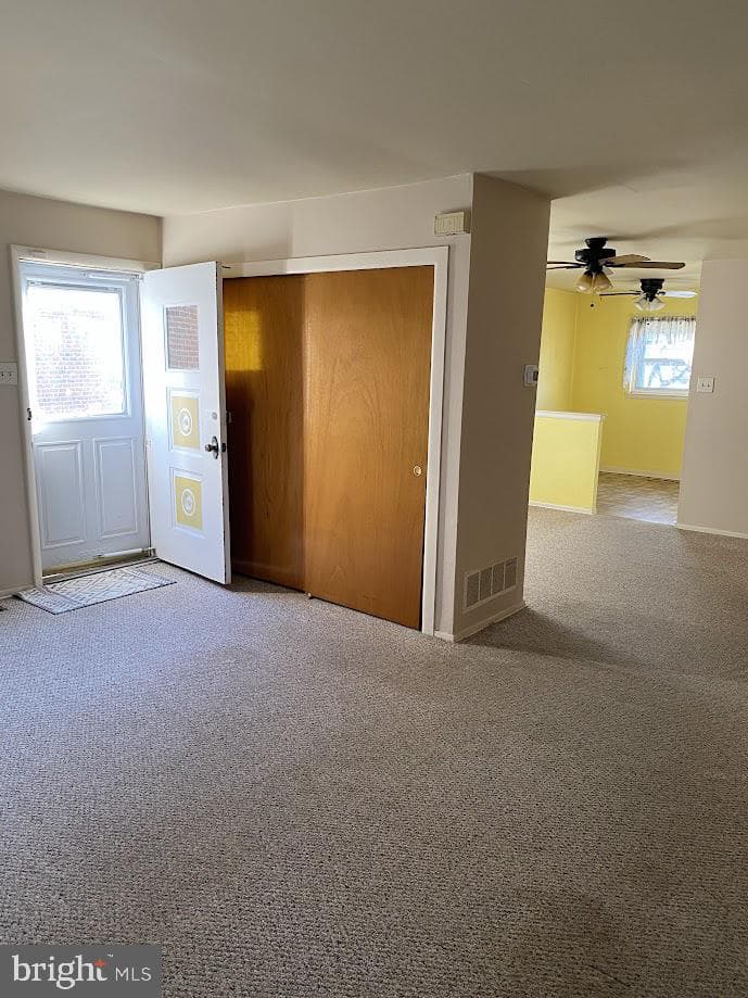 3848 Violet Drive photo 5