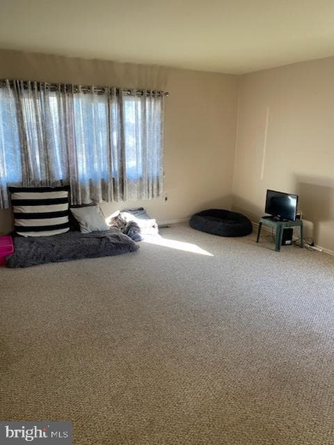 3848 Violet Drive photo 6