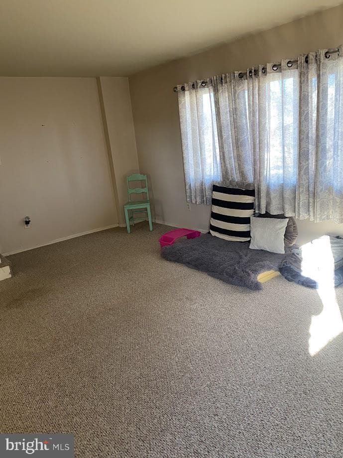 3848 Violet Drive photo 7