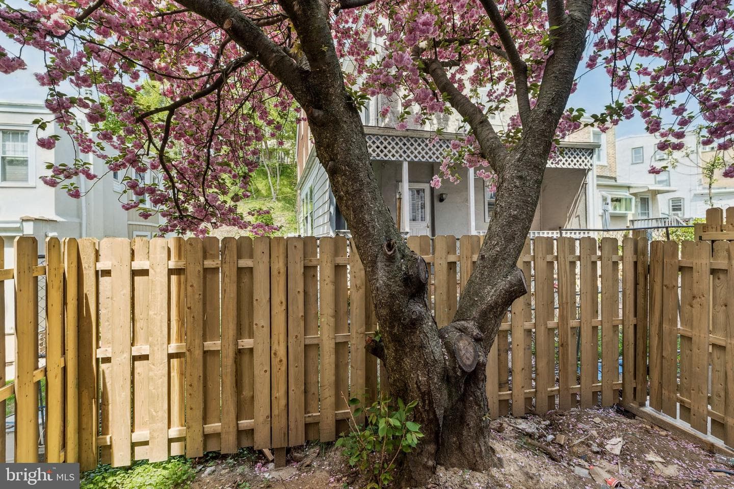 332 Carson Street photo 30