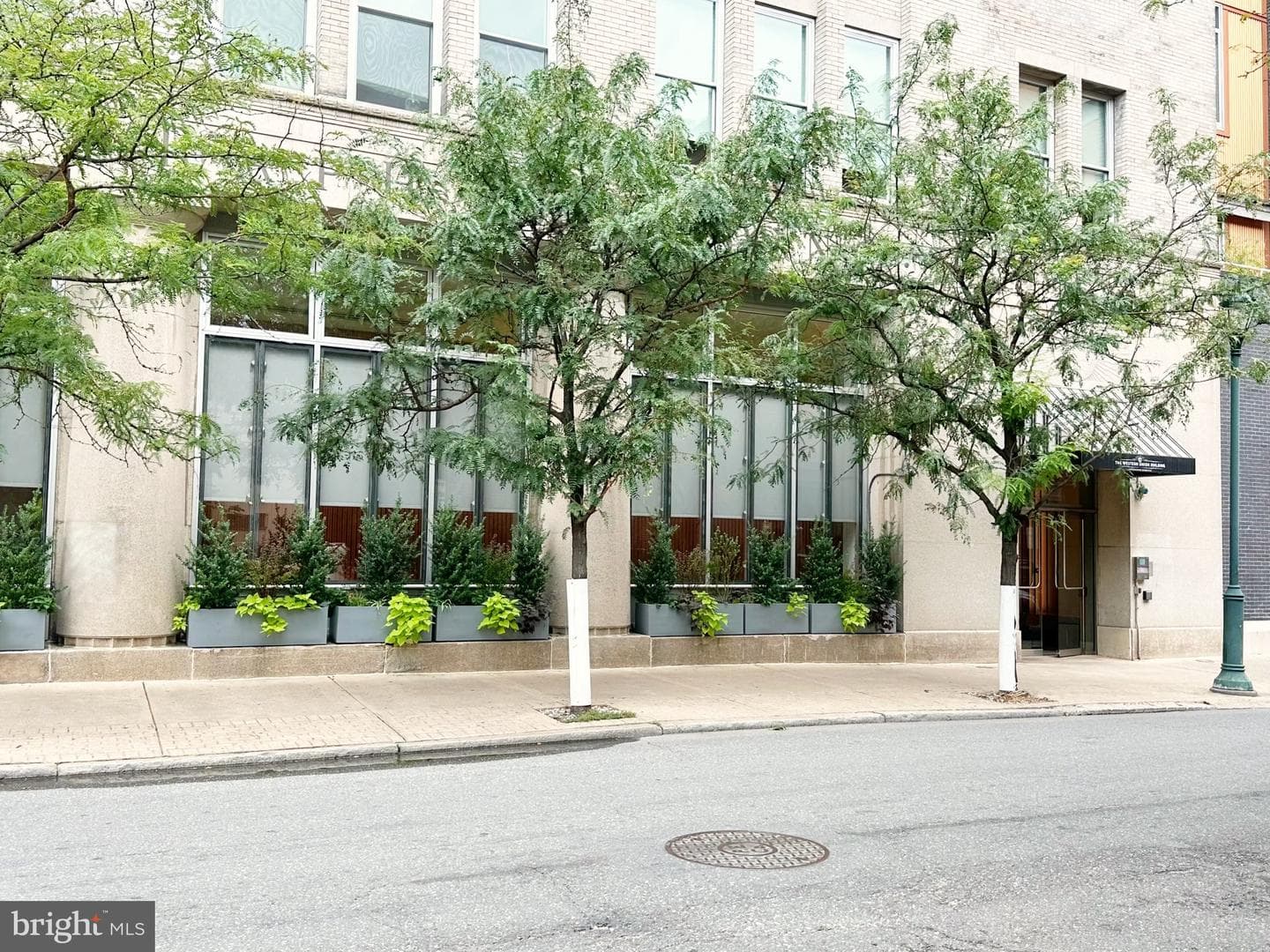 1101 Locust Street #6d photo 2