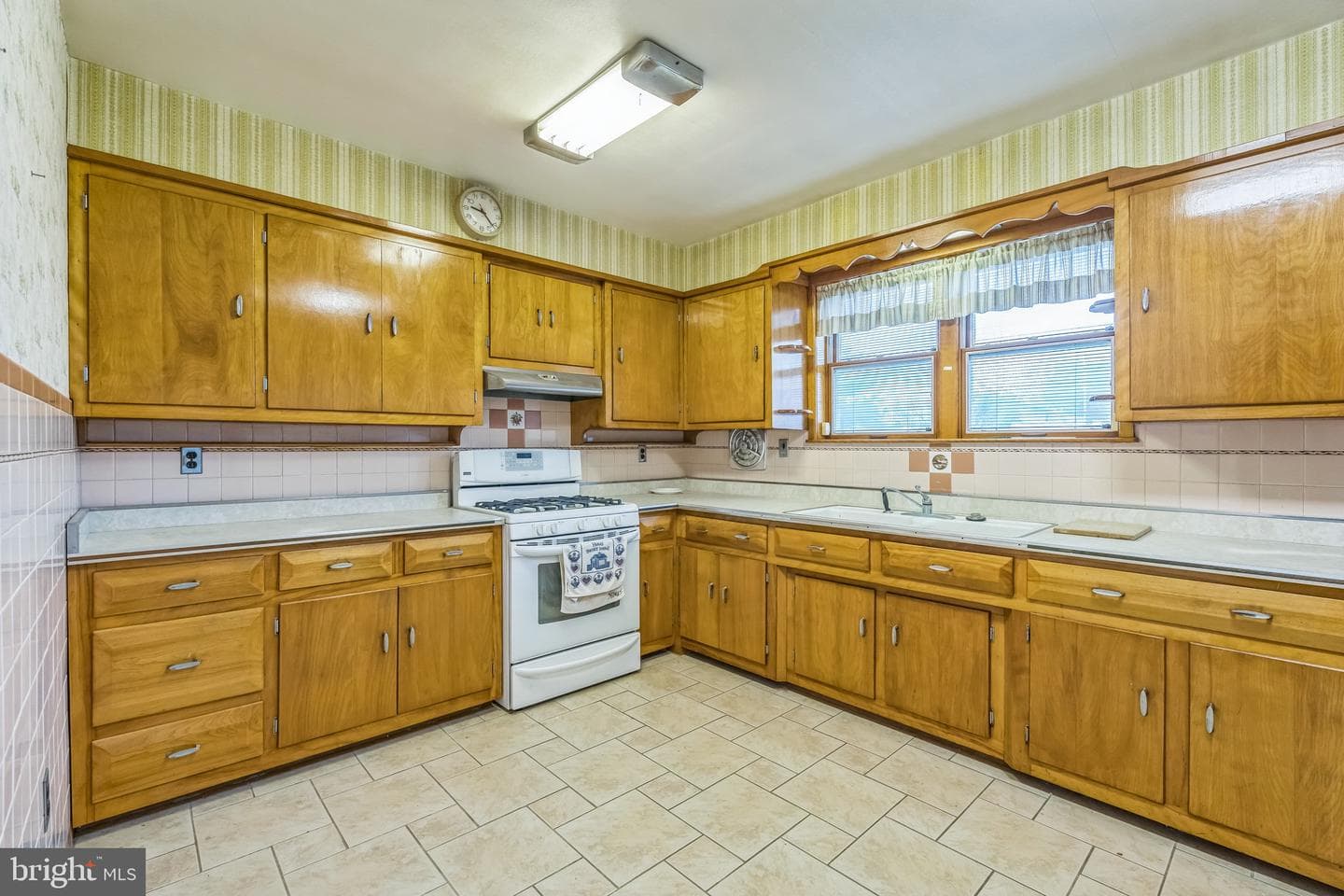 1718 Rhawn Street photo 18