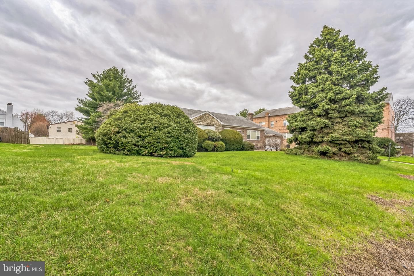 1718 Rhawn Street photo 4
