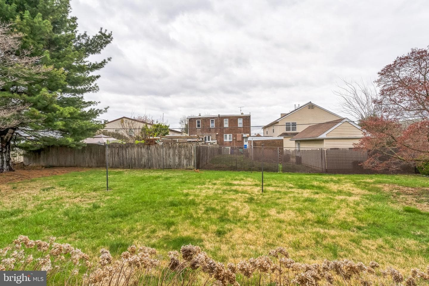 1718 Rhawn Street photo 6