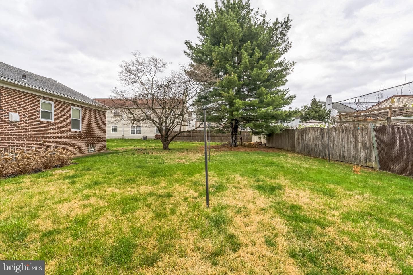 1718 Rhawn Street photo 9