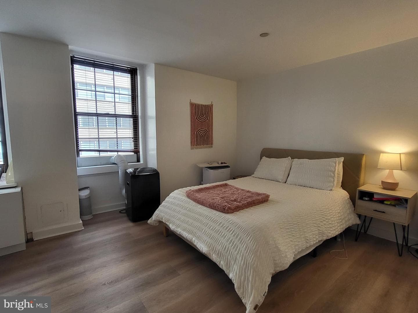 219 S 18th Street #703 photo 5