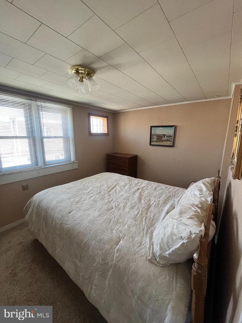 3638 Livingston Street photo 13