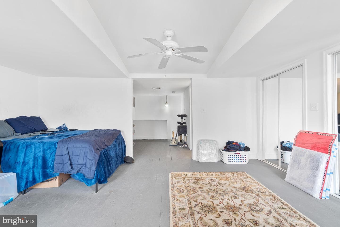 109 Cotton Street photo 23