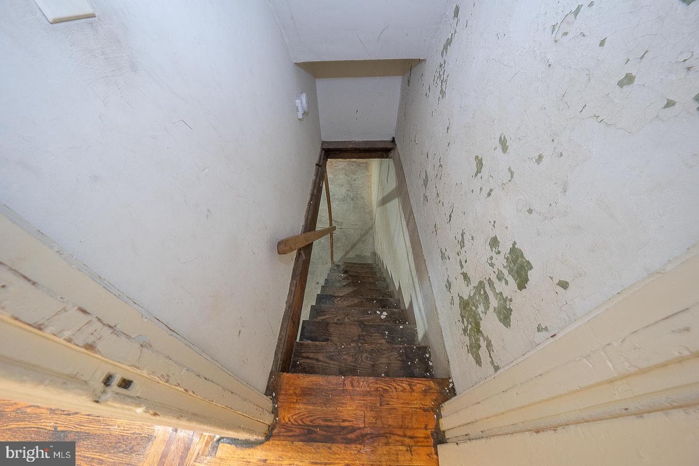106 N Mole Street photo 30
