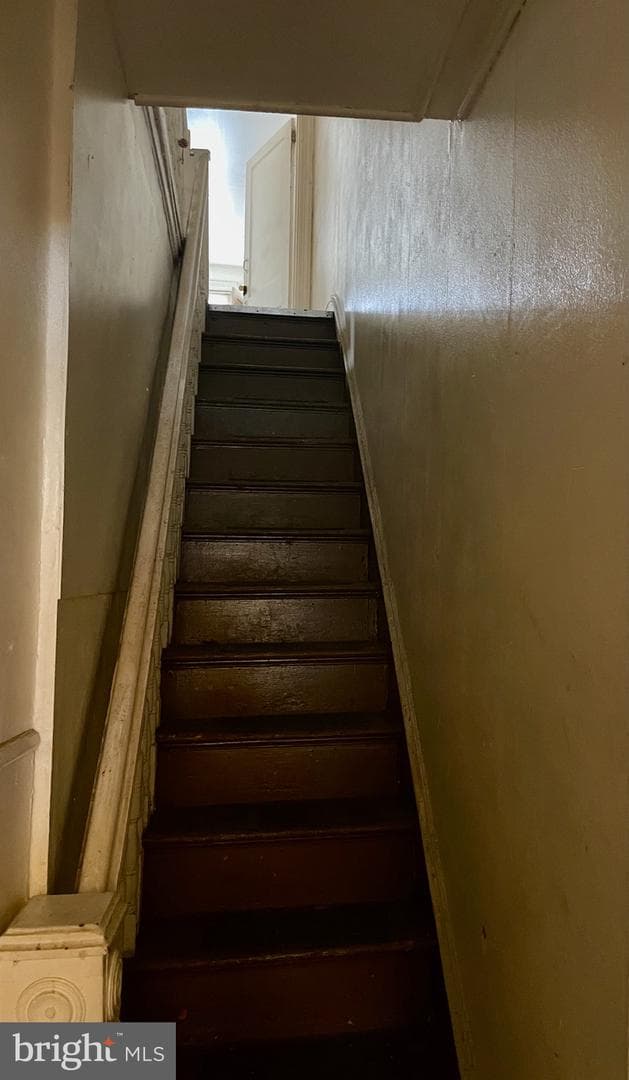 542 W Tioga Street photo 5