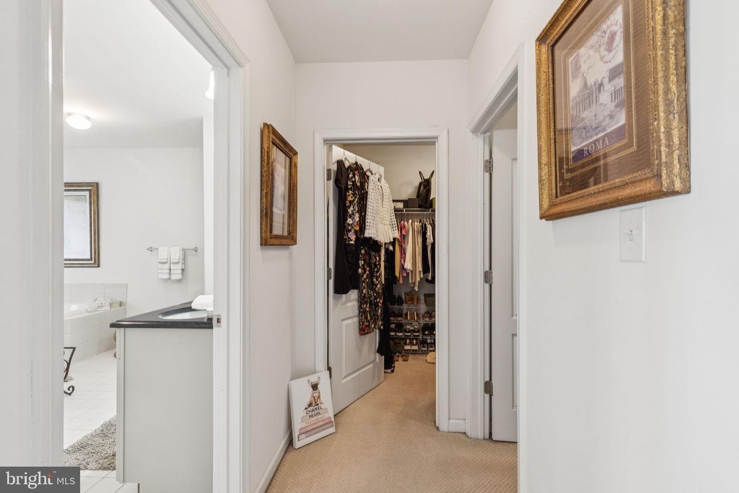 2303 Roma Drive photo 72