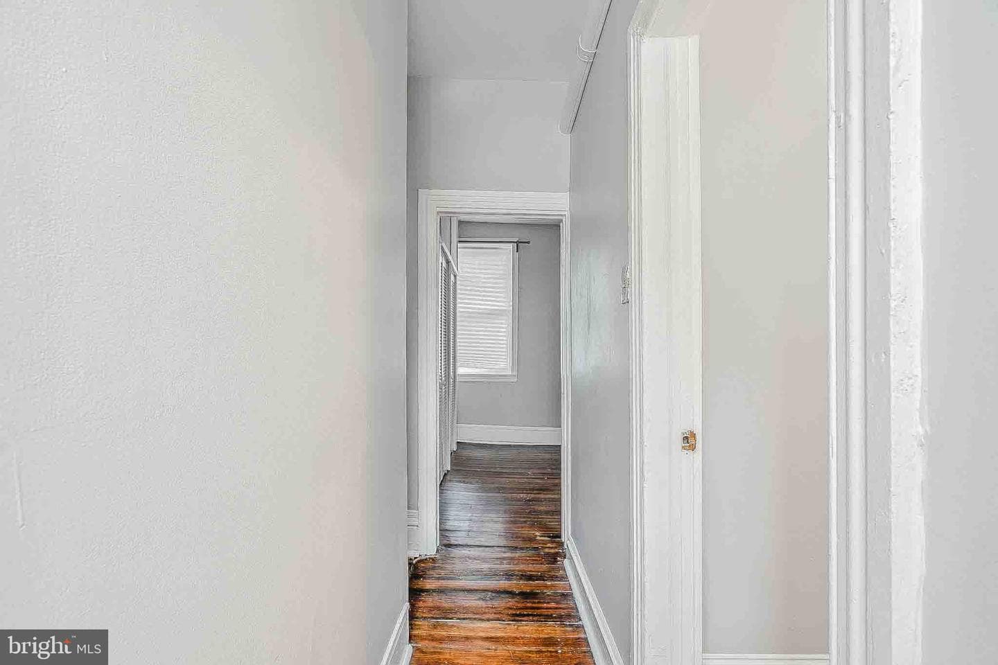 1129 Leopard Street photo 15