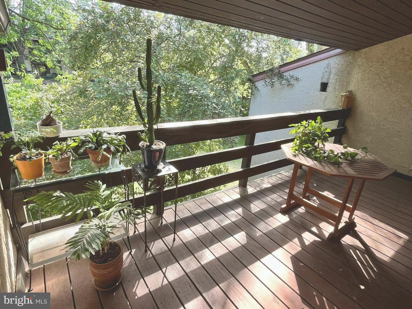 291 Shawmont Avenue #4f7
