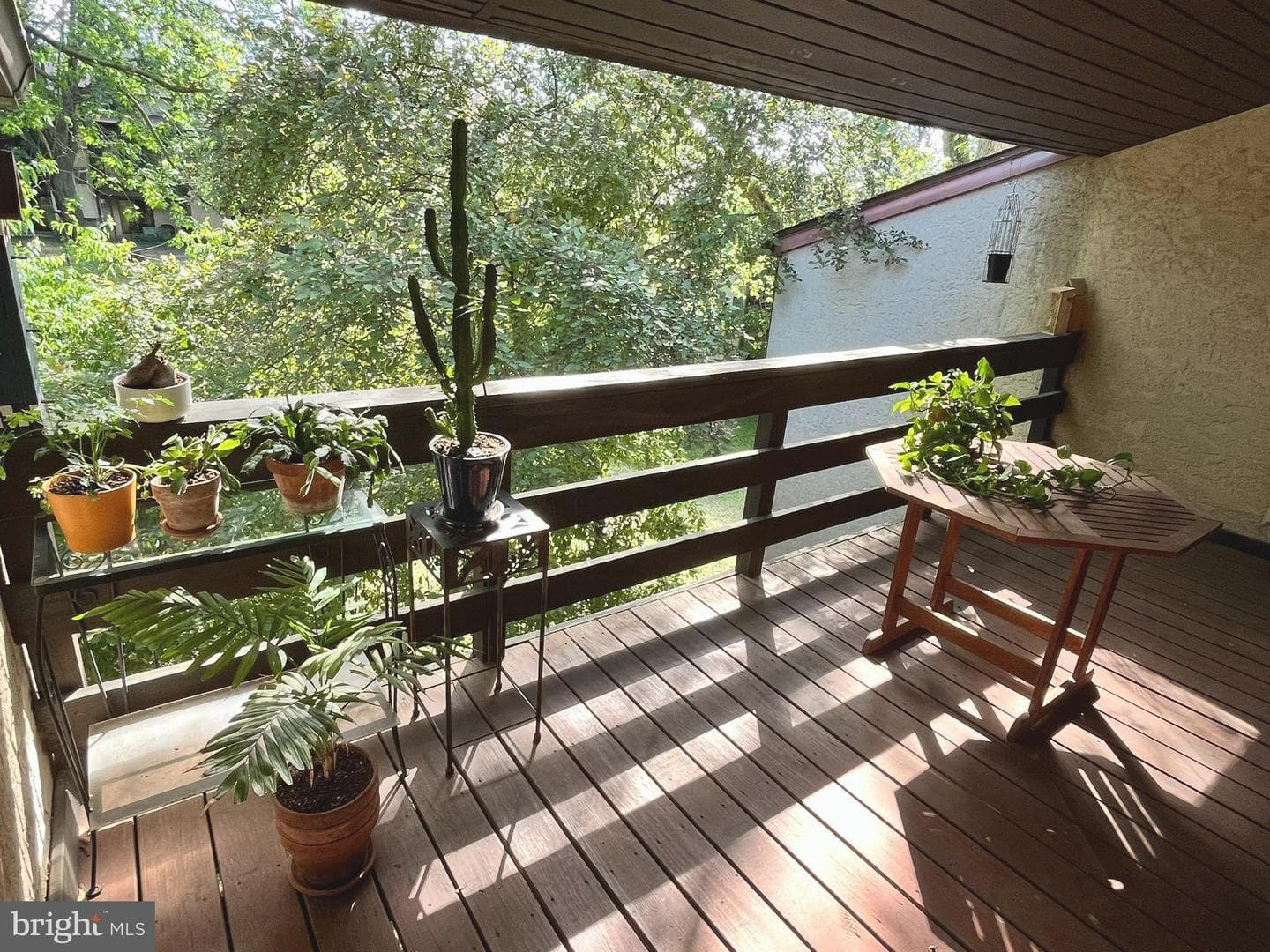 291 Shawmont Avenue #4f7 photo 9