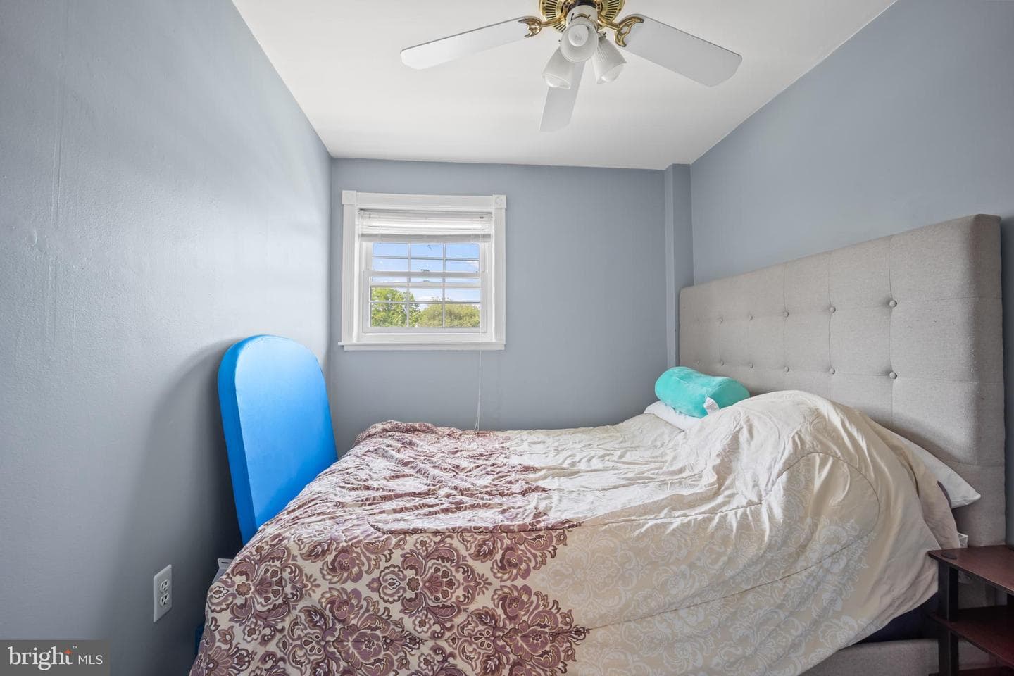 8411 Strahle Terrace photo 18